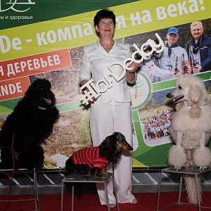 TianDe.Корпоратив