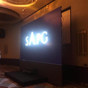 24.11.2019. SAPG SHOW в отеле Hyatt