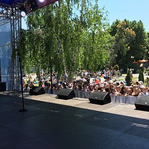 Фестиваль Блоггеров