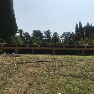 08.06.2020 Свадьба в Прозрачном шатре. Отель Родина. Организаторы Wedding People