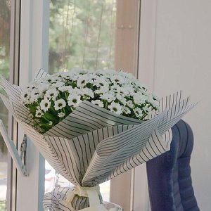 КрайИнвестБанк. Открытие филиала