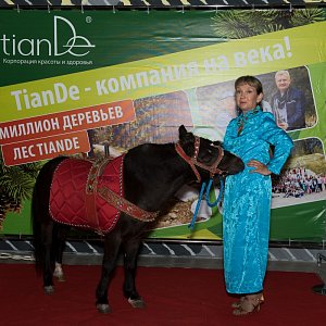 TianDe.Корпоратив