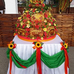 08.2019 День Рождения Кущевского района