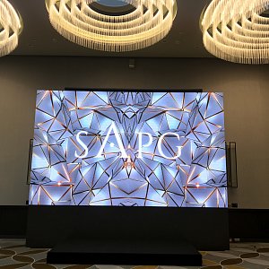 24.11.2019. SAPG SHOW в отеле Hyatt