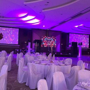 07.2019. Организаторы SAPG. Свадьба, Отель Radisson