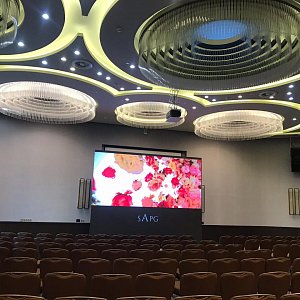 24.11.2019. SAPG SHOW в отеле Hyatt