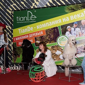 TianDe.Корпоратив